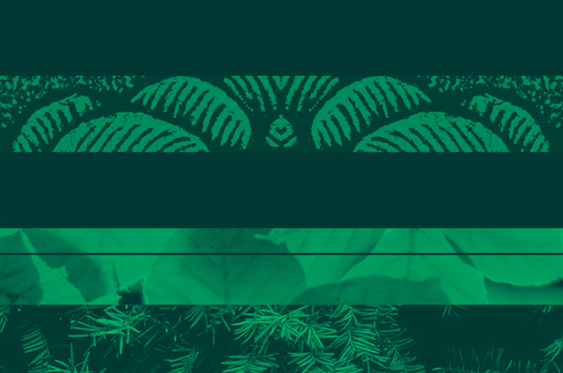 graphic art showing layers of green colored, and leafy textures
