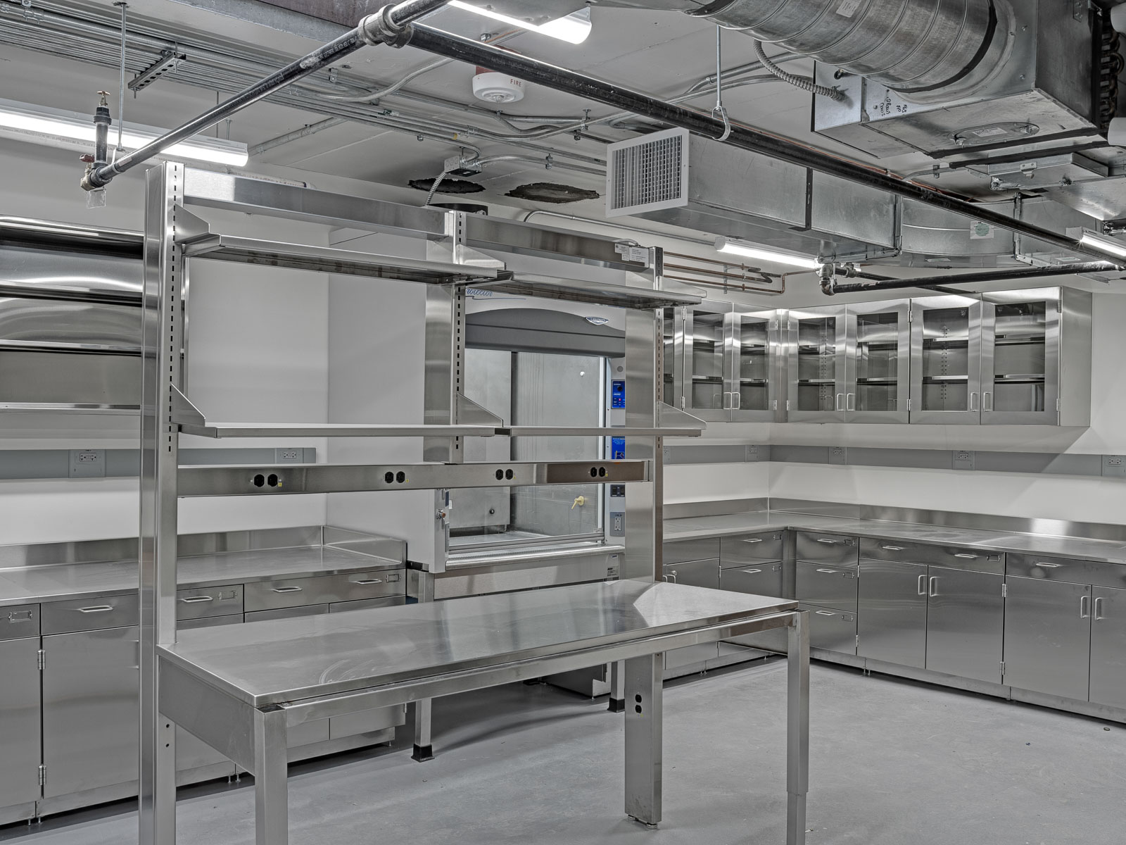 The new plant research lab on the 4th floor adjacent to the greenhouse allows faculty researchers clean and sterile space to work with plants. The lab features a clean side and a dirty side of the lab to prevent cross contamination. The clean side of the lab has 3 growth chambers and a perchloric hood for experimentation. Stainless steel casework allows for easy cleanup and maintains the sterile environment required for this type of work.