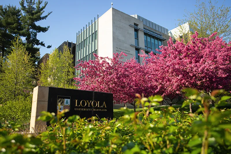 Exterior of the Donnelly Science Center with a Loyola sign and trees with pink blossoms