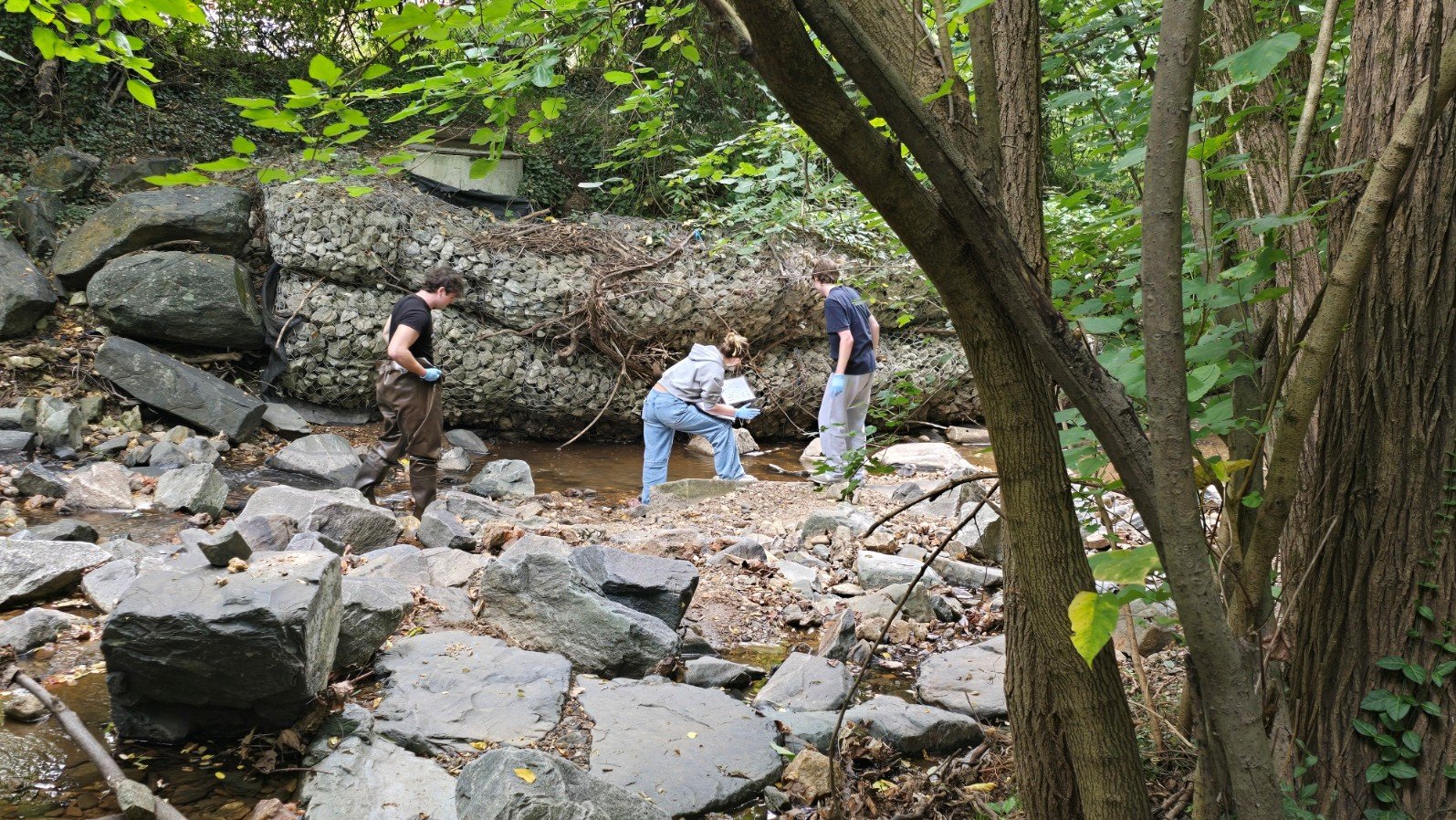 Foundations III students at stream