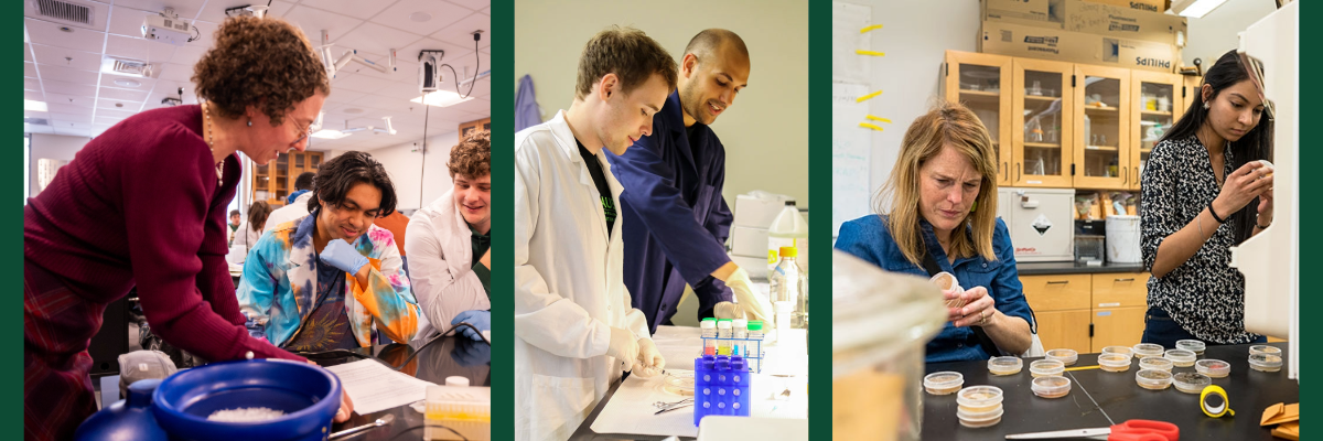 Instructors accompanying students through experiments and observations