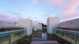 outdoor pool in museum courtyard bathed in pastel light