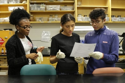 Three students wearing vinyl gloves in a science lab read experiment info on a lab paper together