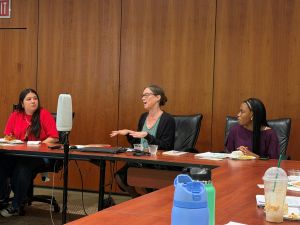 Jane Satterfield faculty lunch talk