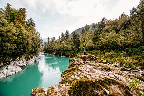 Aqua blue water running through dense evergreens and mountains