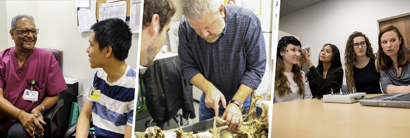 Clinical instructor with student, Professor instructing with animal bones, students and teacher working with analysis equipment made for the head.