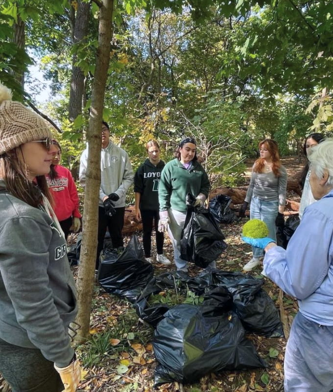 People gather in the woods to discuss the benefits of the native Pawpaw tree.