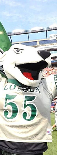 Loyola's greyhound mascot wearing lacrosse jersey