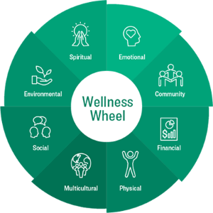 wellness wheel