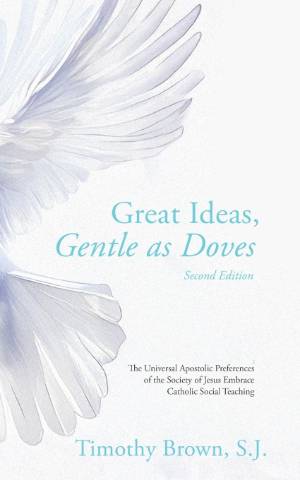 Cover of Great Ideas, Gentle as Doves depicting the wing and tail of a white dove on an off-white background