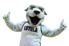 Grey Hound mascot with Loyola jersey 