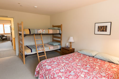 View of mountain aster room with full bed