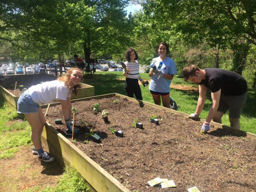 students and staff work in garden during annual planting party