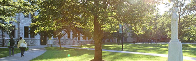 Picture of trees and walking paths on Loyola's Academic Quad