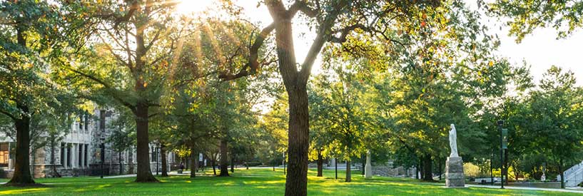 A sunburst peeking through the trees on the academic quad