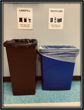 Waste and recycling cans