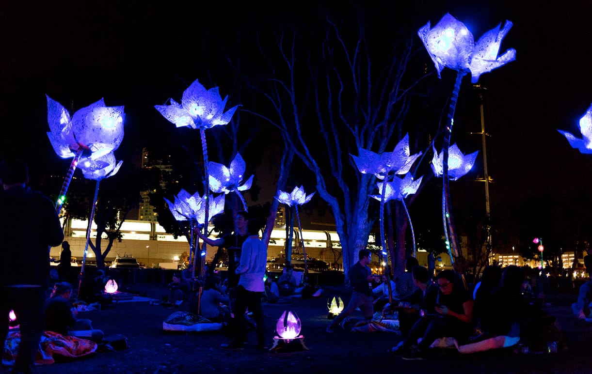 Artistic flowers lit up by blue lights at nighttime