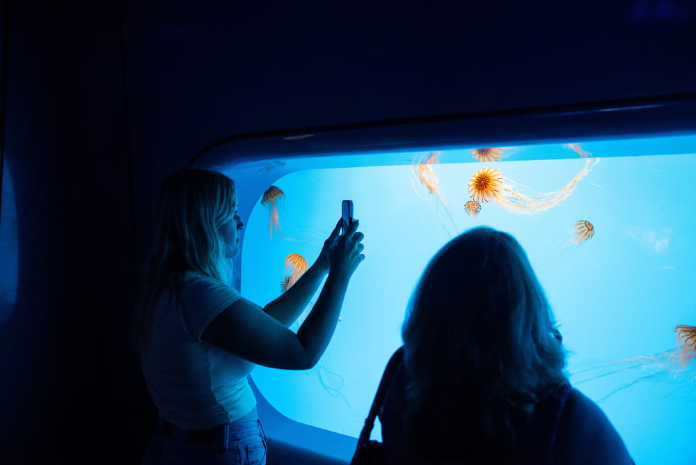Silhouettes of two students in front of a glass aquarium exhibit of jellyfish.