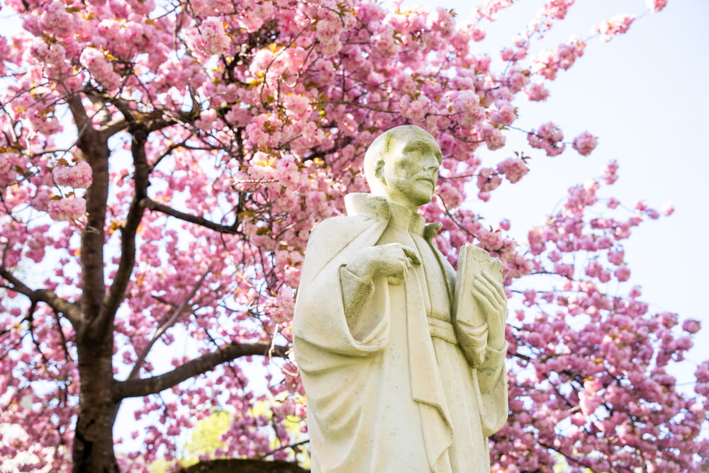 Statue of St. Ignatius Loyola on the Quad framed by branches covered in pink blossoms