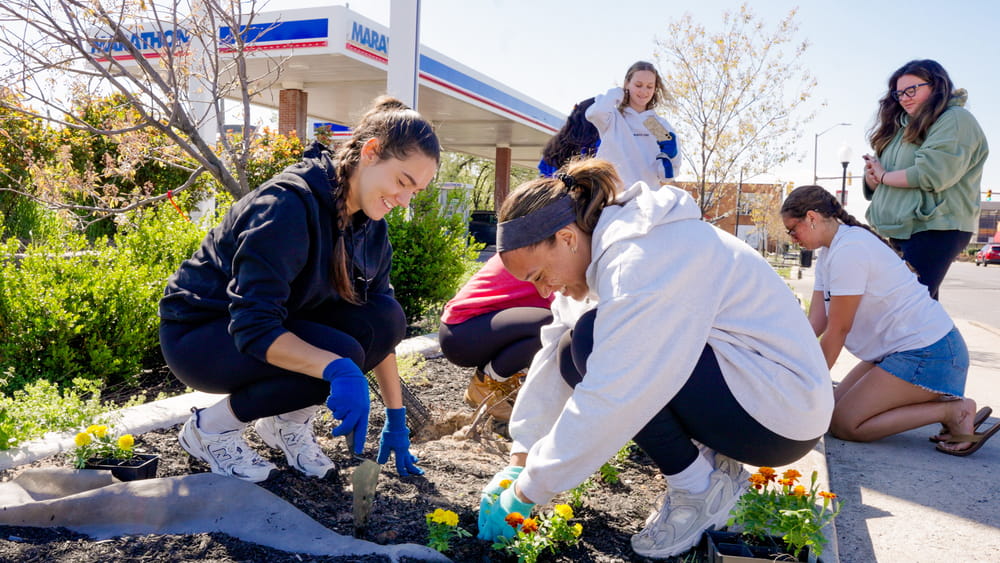 Students kneeling down to plant flowers