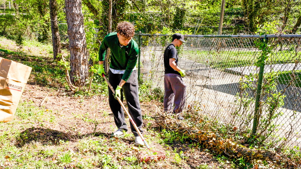 Students doing yard work, one raking leaves and another removing weeds from a fence, as part of a York Road Community Day project.