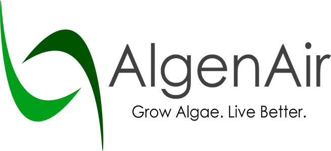 algenair