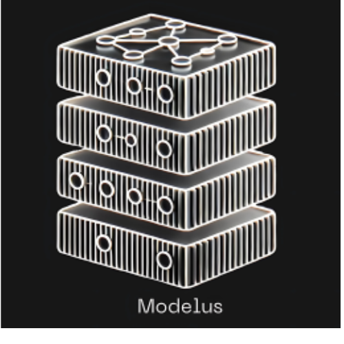 Modelus logo Modelus logo