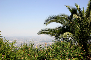 scenic-overlook