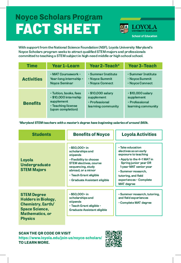 fact sheet broken down into squares for each year listing activities and benefits for each year.