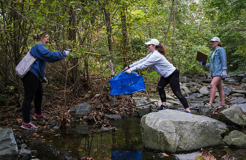 Students picking up trash in a stream and placing it in a bag