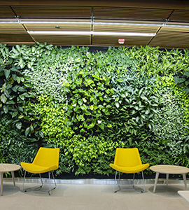 Green, plant wall in the Fernandez Center on Loyola's Evergreen campus