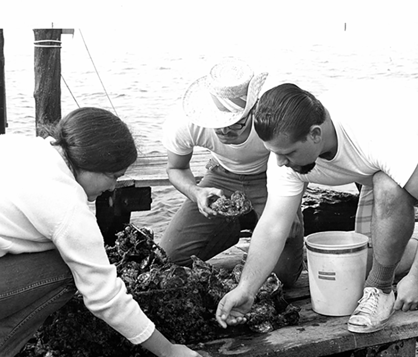 Black and white photo of Graham collecting oysters by the water.