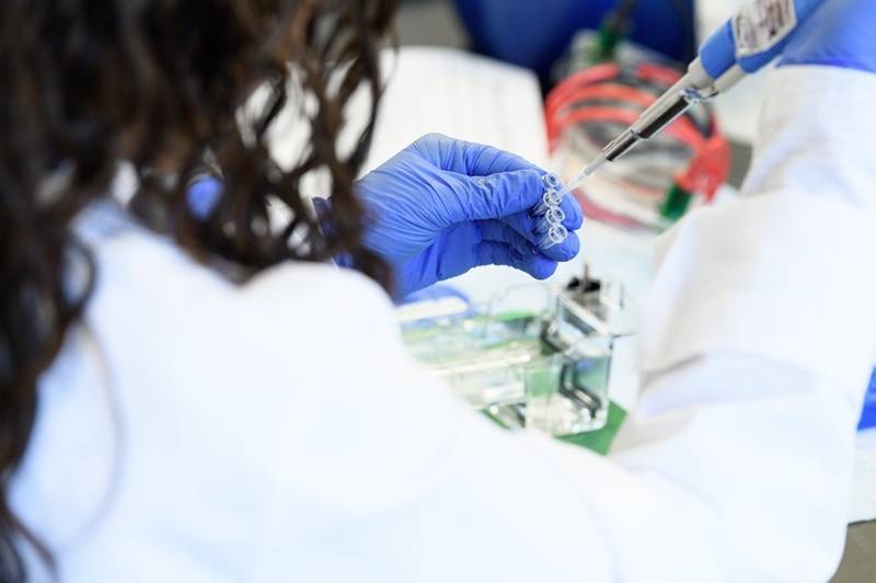 Close-up of a person's gloved hands using a syringe