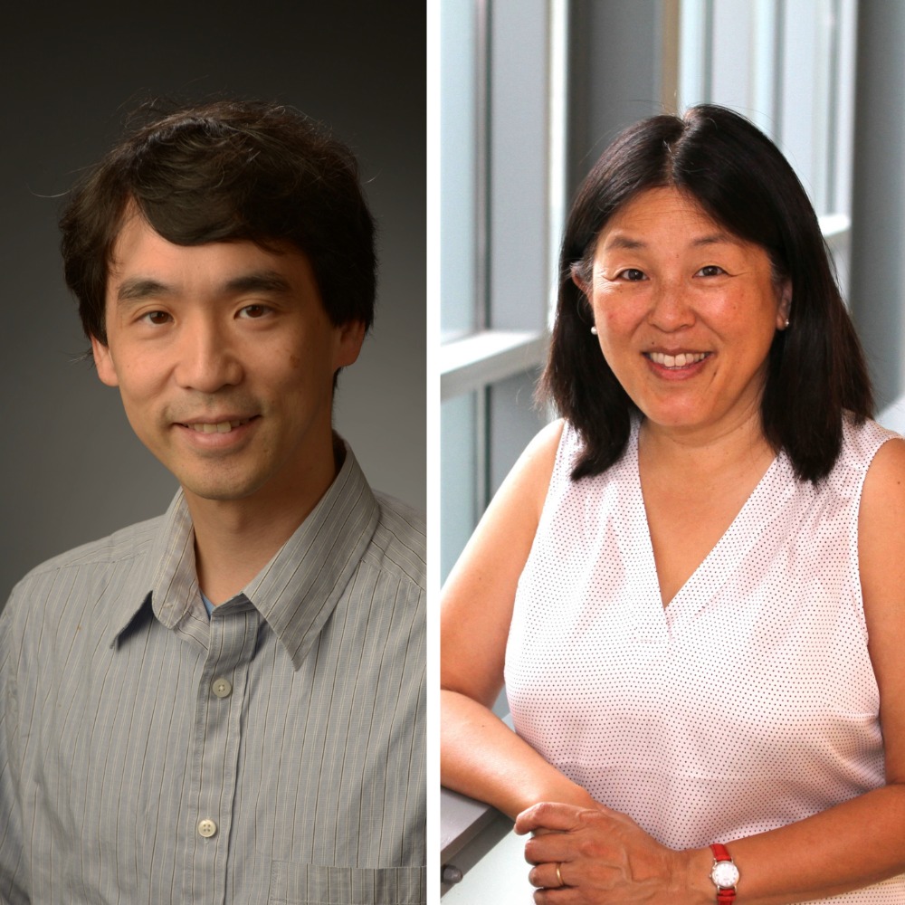 David Hoe, Ph.D., and Mary L. Lowe, Ph.D.