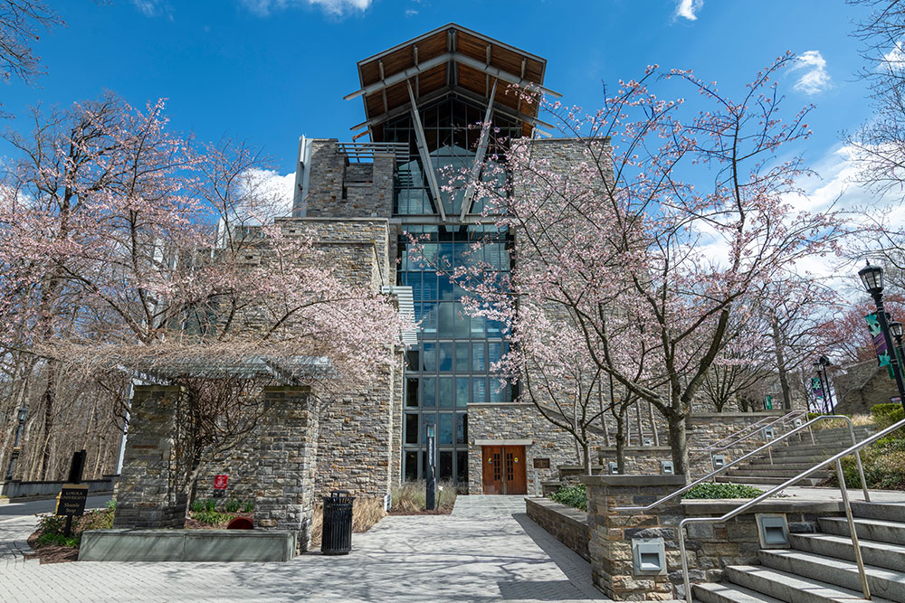 Loyola's Sellinger School of Business and Management in the spring